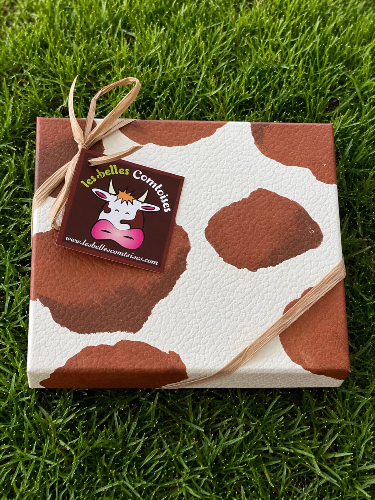 Coffret carré de 12 Belles Comtoises fermé, au décor tacheté