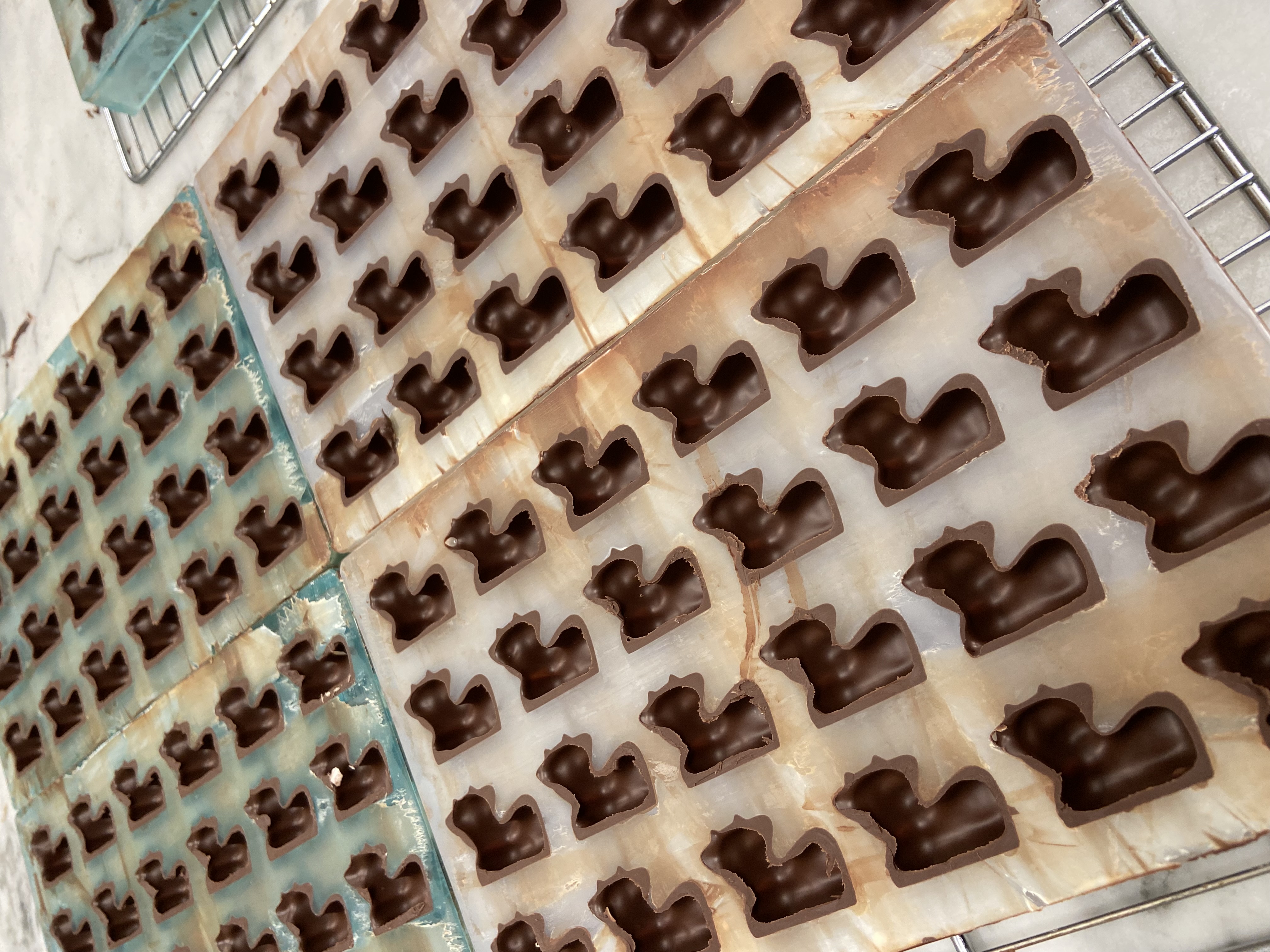 Écureuils en chocolat noir dans leurs moules