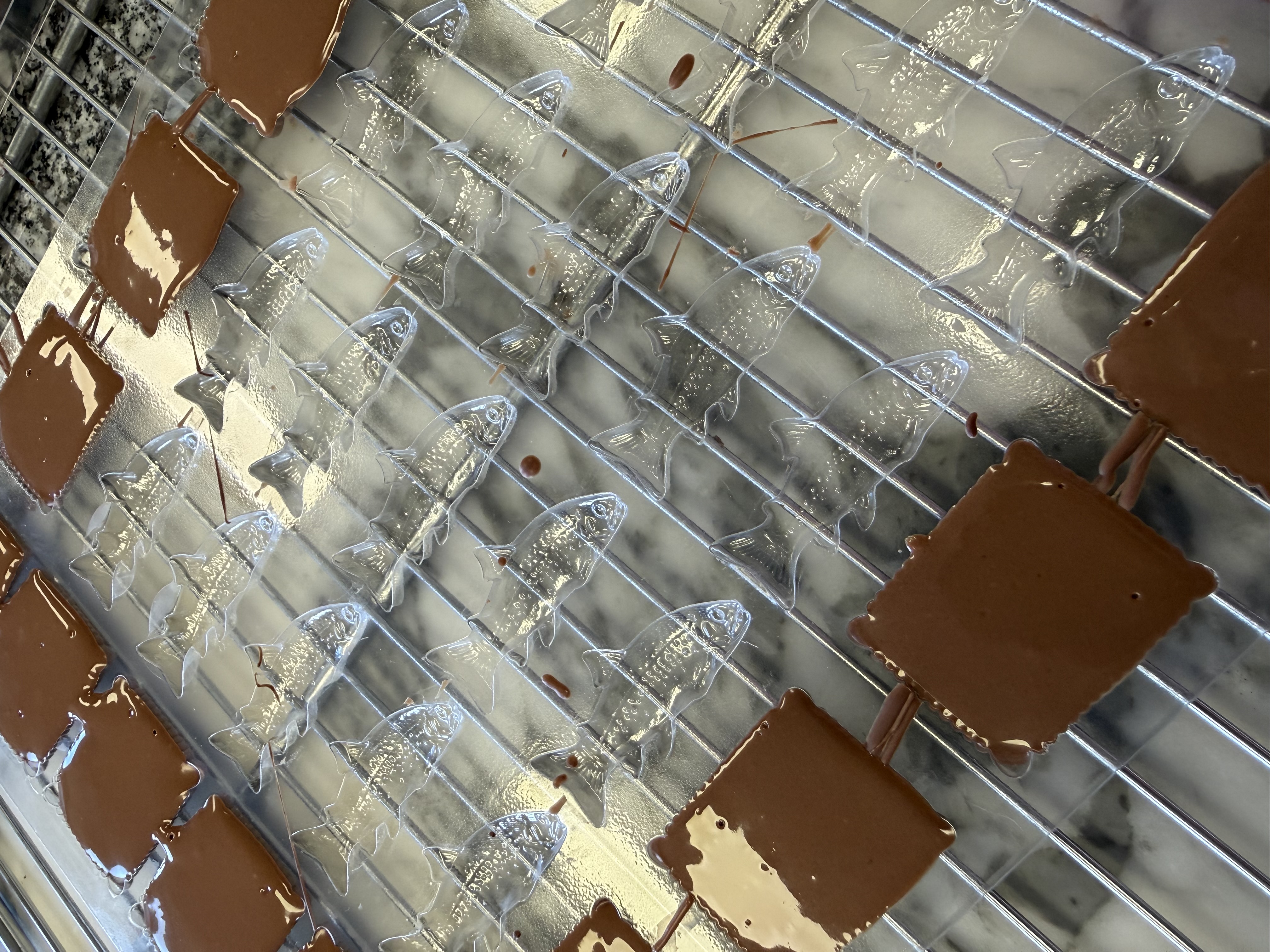 Moules à poissons vides sur grille de refroidissement, à côté de carrés de chocolat