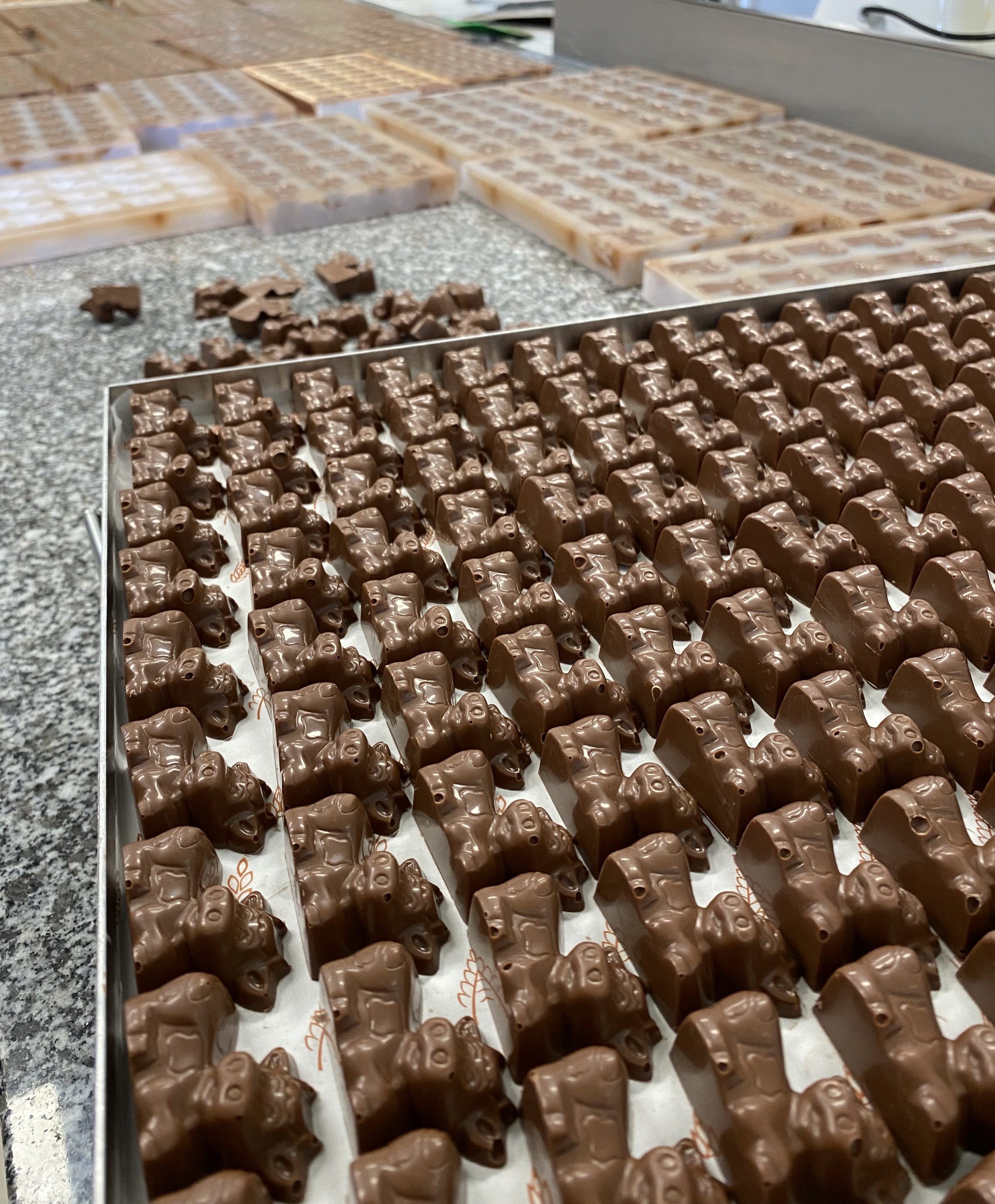 Vaches des Belles Comtoises en chocolat au lait, démoulage en cours